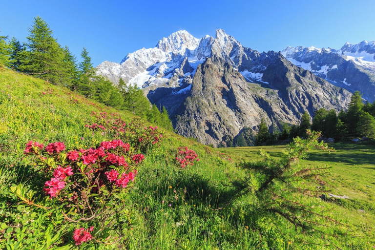 Exterior 5, Montagne E Coccole, Aosta