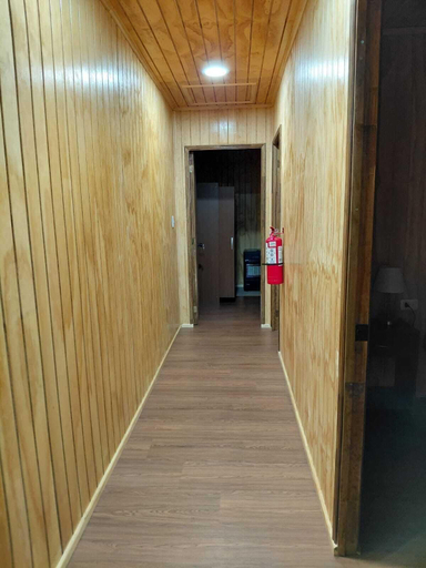Interior, Raiz de Hielo, Coihaique