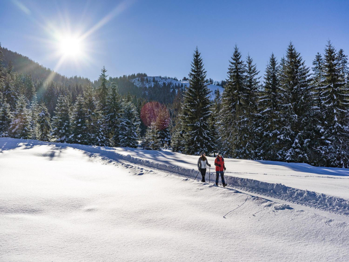 Others 5, Penthouse in Niederau near Ski Lift, Kufstein