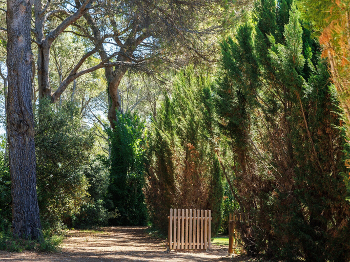 Garden, Duplex Holiday Home With Terrace, Vaucluse