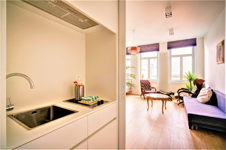 Private kitchen, Spacious Apartment With Terrace, View, Antwerpen