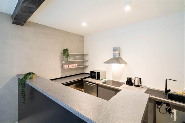 Private kitchen 4, Antwerp Central 1br/7p Apartment, Antwerpen