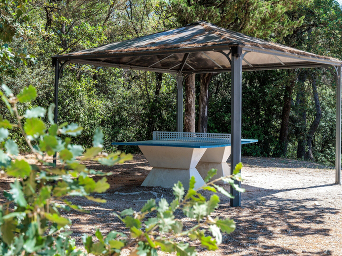 Garden 5, Sunlit Provencal House With Terrace, Vaucluse