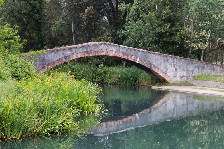 Others 5, Casa Rosalba, Lucca