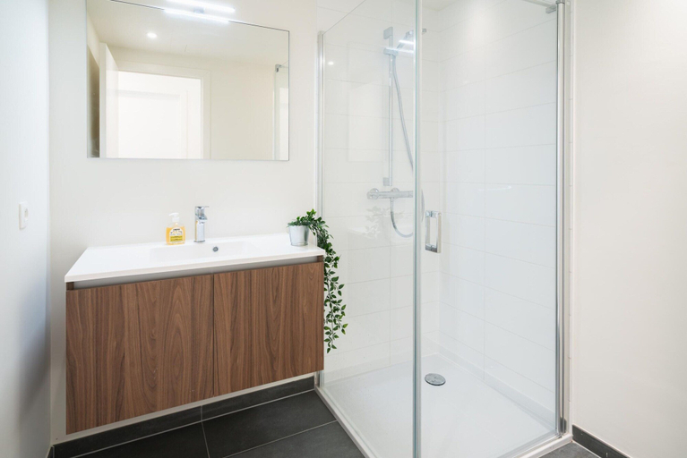 Bathroom 4, 12 Guests Stylish Apartment in Antwerp, Antwerpen