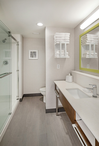 Bathroom 4, Hampton Inn Columbus NE, Platte