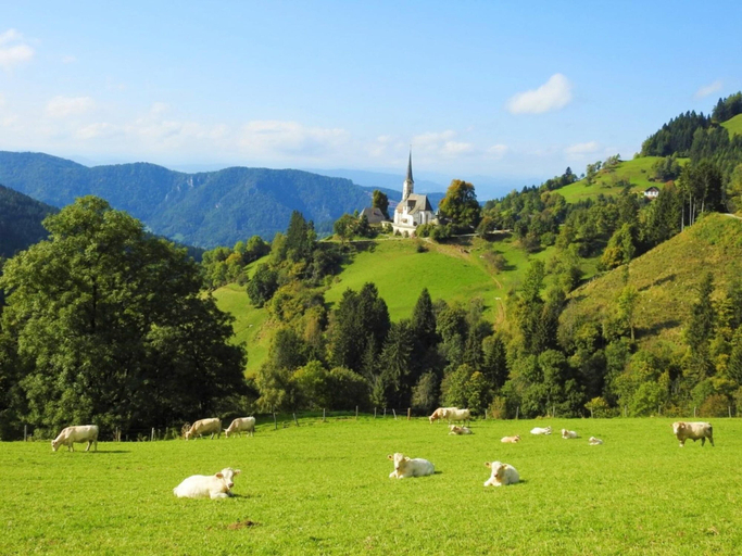 View from property 4, Hiking and Wellness Getaway, Sankt Veit an der Glan