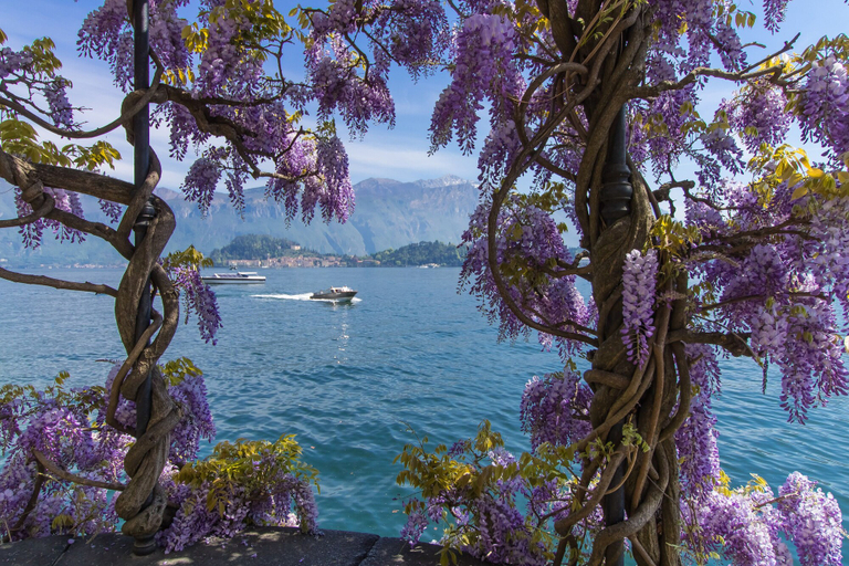 Exterior 2, Lenno Il Guscio, Como
