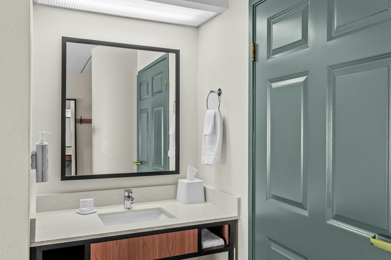 Bathroom 3, Spark by Hilton Lynchburg - University Area & Hwy 460, Lynchburg