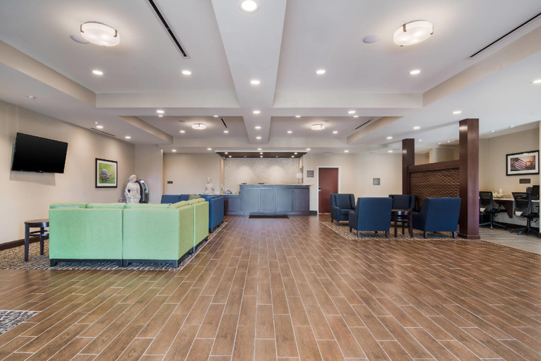 Public Area 2, Comfort Inn & Suites Rock Hill Northeast, York
