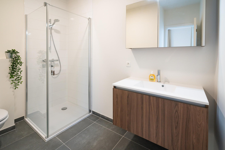 Bathroom 3, City Hideaway With Terrace in Antwerp, Antwerpen