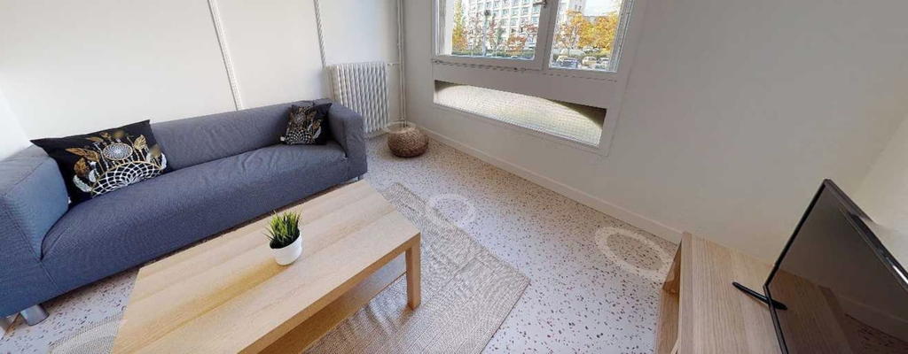 Living area 5, Private Room in a Shared Flat - Lyon 8 e, Rhône