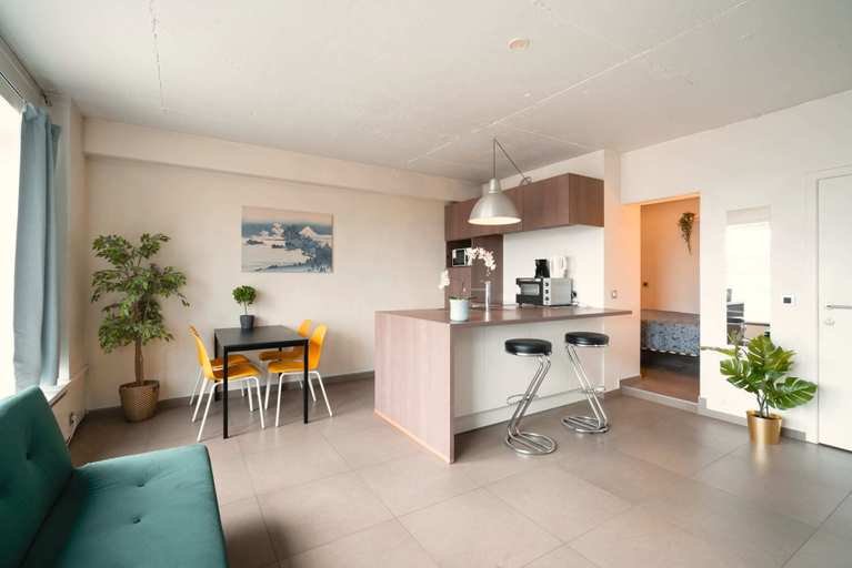 Private kitchen, Deluxe 7-Guest Apartment in Antwerp, Antwerpen