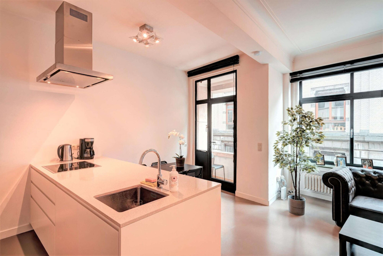 Private kitchen 4, 2-bedroom Apartment for 9 in Antwerp, Antwerpen
