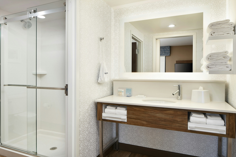 Bathroom 4, Hampton Inn Clewiston, Hendry