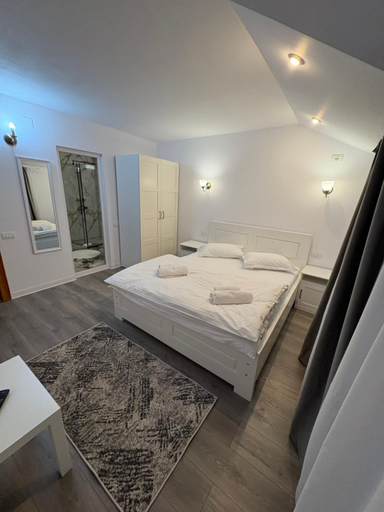 Bedroom 2, Casa Visescu, Baile Herculane