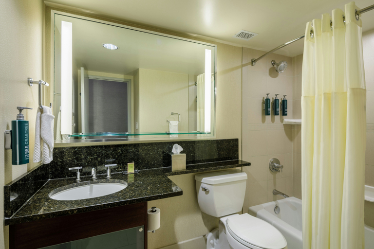 Bathroom 4, DoubleTree by Hilton Denver, Denver
