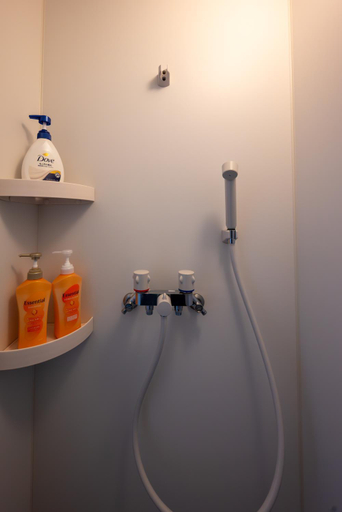 Bathroom 3, Momiji Georgia, Furano