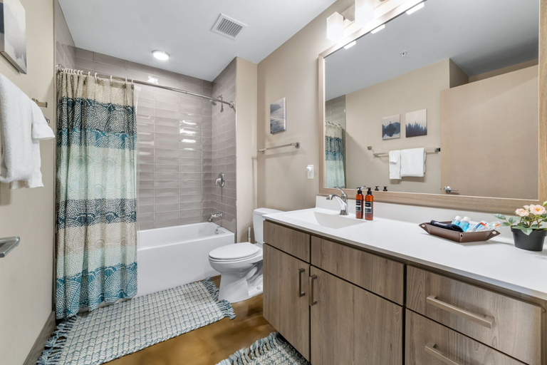 Bathroom, Sable 603 - Alcove, Hennepin