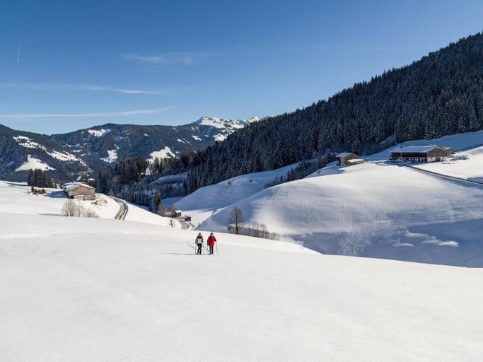 Others 4, Penthouse in Niederau near Ski Lift, Kufstein