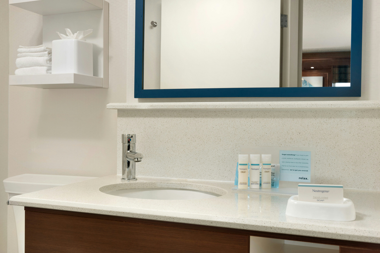 Bathroom 4, Hampton Inn by Hilton West Des Moines Lake Drive, Dallas