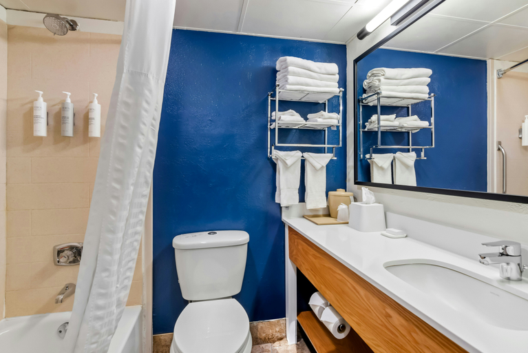 Bathroom 4, Spark by Hilton Wytheville Holston Rd I 81, Wythe