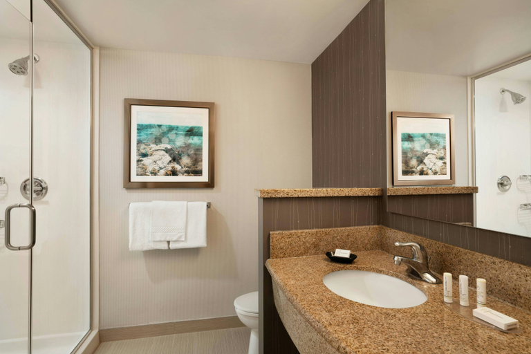 Bathroom 5, Courtyard by Marriott Middletown Goshen, Orange