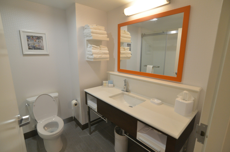Bathroom 4, Hampton Inn Fort Payne, De Kalb