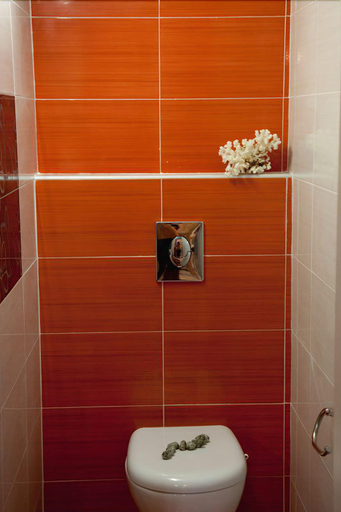 Bathroom 5, Anatoli Beach, Crete