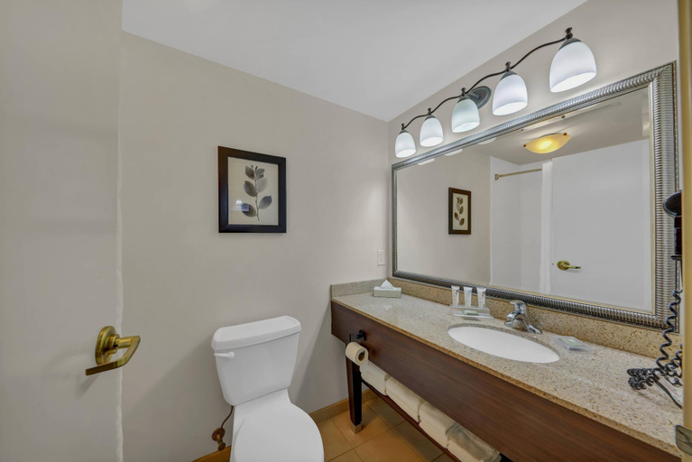 Bathroom 4, Country Inn & Suites by Radisson, Braselton, GA, Barrow