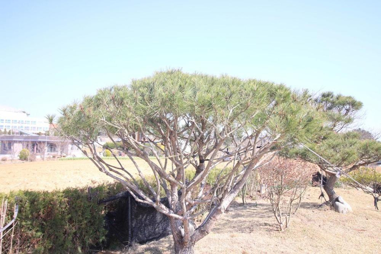 Others 5, Mongsanpo High Beach Pension, Taean