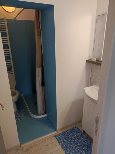 Bathroom 3, Chostello Ecomis Rustik, Sibiu