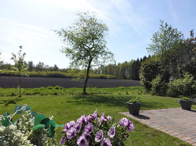 Garden 3, Vechtdal Chalet de Wilg, Hardenberg