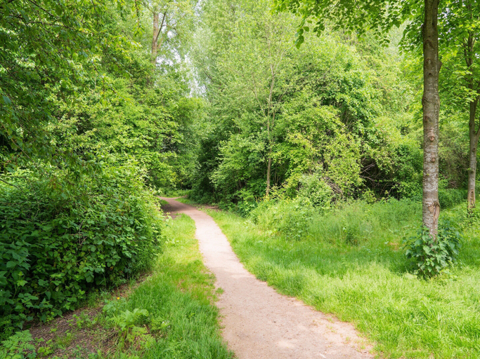 View from property 2, Beautiful new Group Home With Panoramic Views, Montfoort