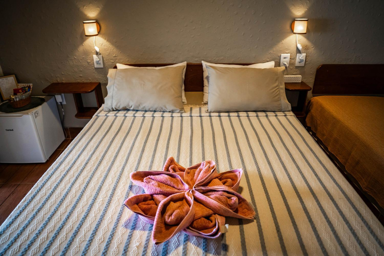 Bedroom 2, Fauna, Angra dos Reis
