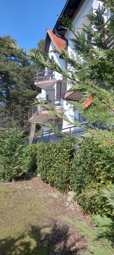 Others 4, B&B Le Camelie del Bosco, Imperia