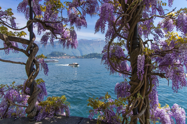 Others 3, Casa dei Galli, Como