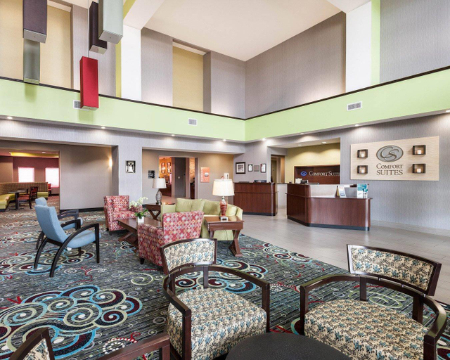 Public Area 2, Comfort Suites Greenville, Hunt