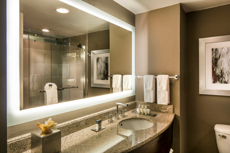 Bathroom 4, Doubletree By Hilton Hotel Largo-Washington Dc, Prince George's