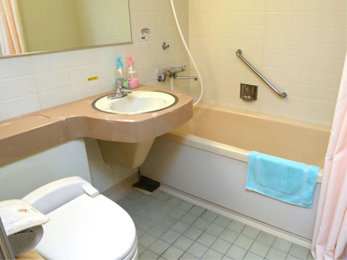 Bathroom 3, New Tanbaso, Sasayama