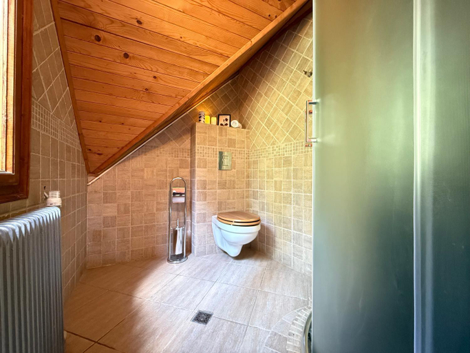 Bathroom 2, Red Lake Inn, Gheorgheni