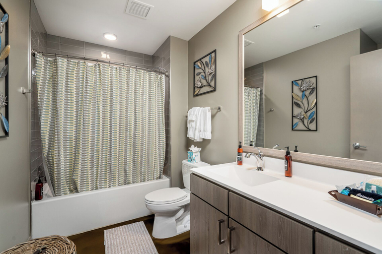 Bathroom 3, Sable 404 - Alcove, Hennepin