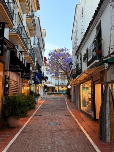 Others 4, Marbella Le Normandy, Málaga