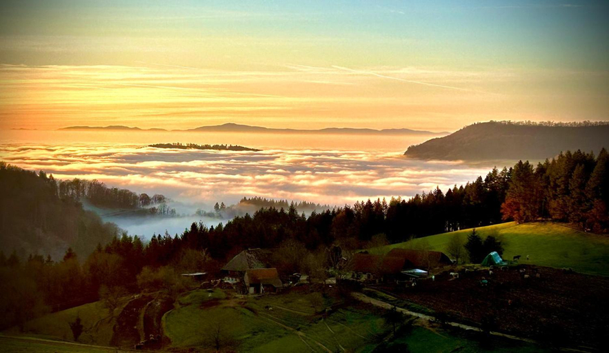 Others 3, Panorama Ferienwohnung Horben, Breisgau-Hochschwarzwald