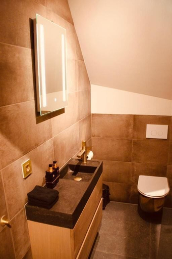 Bathroom 5, De Hollandsche Leeuw, Nieuwkoop