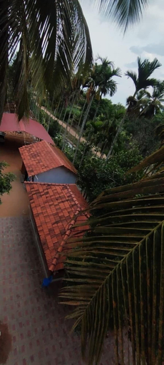 View from property, Green Island Nature Stay, Mandya