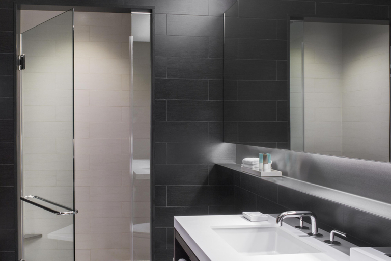Bathroom 5, Hyatt Centric Times Square New York, New York