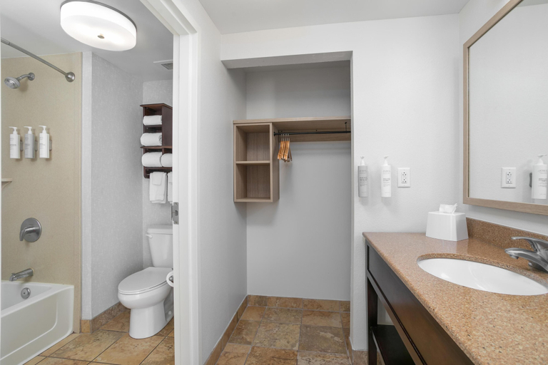 Bathroom 4, Hampton Inn New Smyrna Beach, Volusia