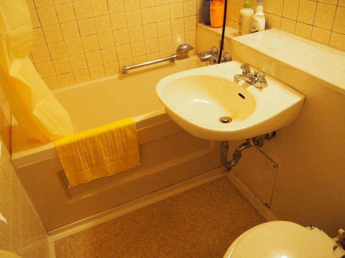 Bathroom, Yokotei, Nagatoro
