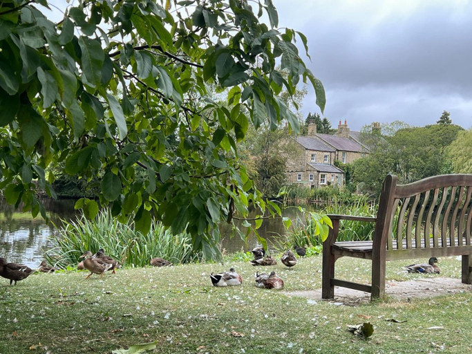 Others 5, Orchard Cottage, North Yorkshire